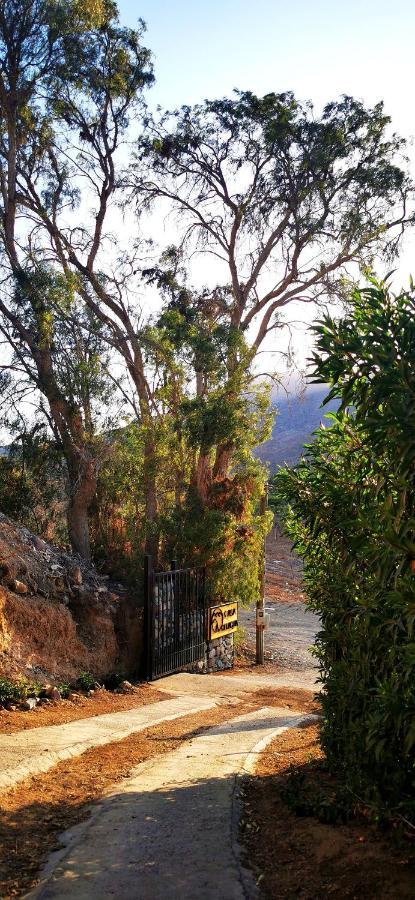 Отель Casa Ollagua Викунья Экстерьер фото